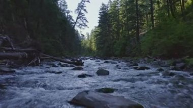 Washington Havayolları v1 Nehrin üzerinde alçaktan uçuyor Nehir yukarı doğru - Temmuz 2019