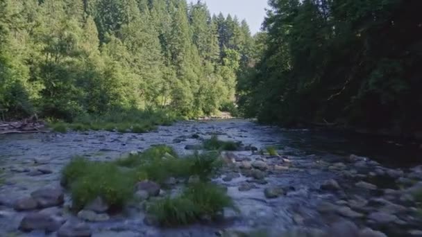 Washington Aerial Volando Bajo Sobre Río Dirección Aguas Abajo Con — Vídeos de Stock