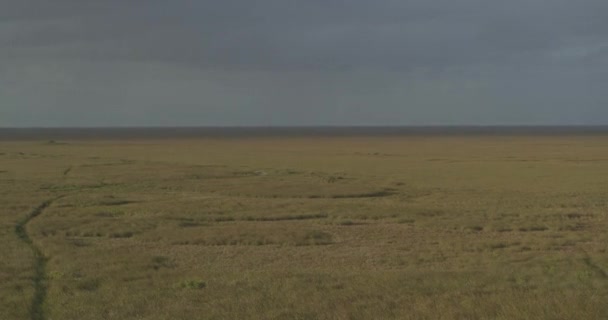 Everglades Florida Aerial Panning Shot Mud Canal Everglades National Park — 图库视频影像