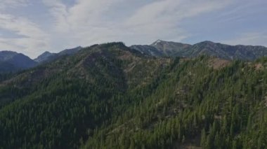 Teanaway Ormanı Washington Havacılık V2 Cascade Dağları 'nın sol görüntüsü - Haziran 2020