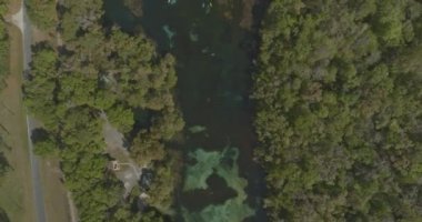 Gökkuşağı Springs Florida Havacılık V10 nehir kıyıları ve eyalet parkı boyunca dikey görüntü - DJI Inspire 2, X7, 6k - Mart 2020