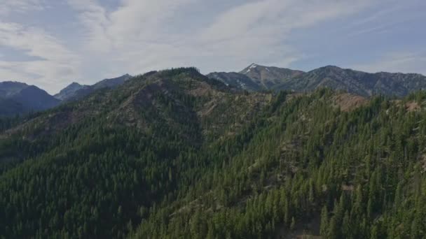 德阿纳威森林华盛顿空中V2盘中的喀斯喀特山脉左击 2020年6月 — 图库视频影像