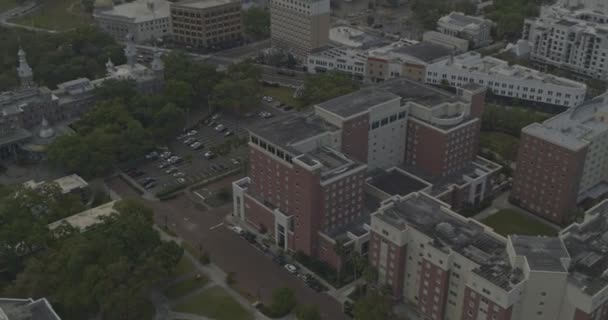 Tampa Florida Aerial V13 Birdseye Shot University Downtown Skyscrapers Dji — Stock Video