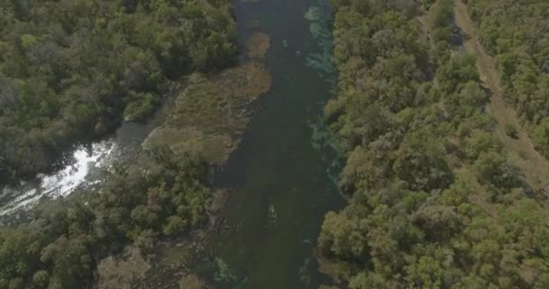 Rainbow Springs Florida Aerial Top View Kayaks Water Dji Inspire — 图库视频影像