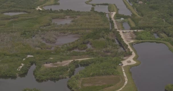 Merritt Island Florida Aerial Sklon Dolů Letecký Pohled Přes Borovicový — Stock video