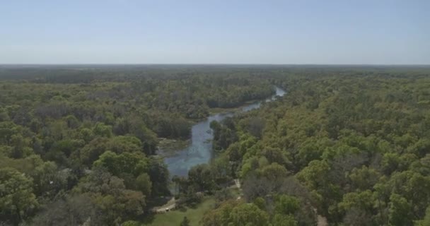 Rainbow Springs Florida Aerial Svepande Utsikt Över Regnbågens Flod State — Stockvideo