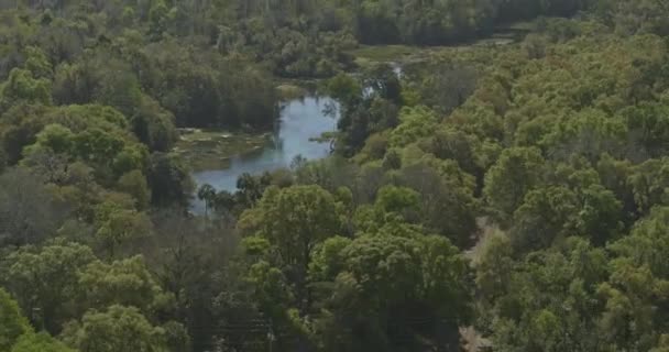 Rainbow Springs Florida Aerial Panning Show Rainbow River State Park — Stock video