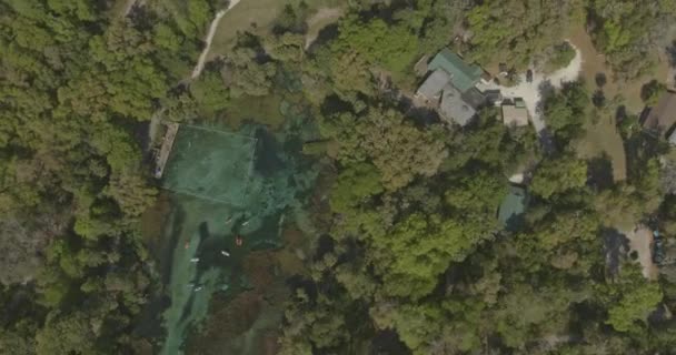 Rainbow Springs Florida Aerial V11 Von Oben Nach Unten Luftaufnahme — Stockvideo