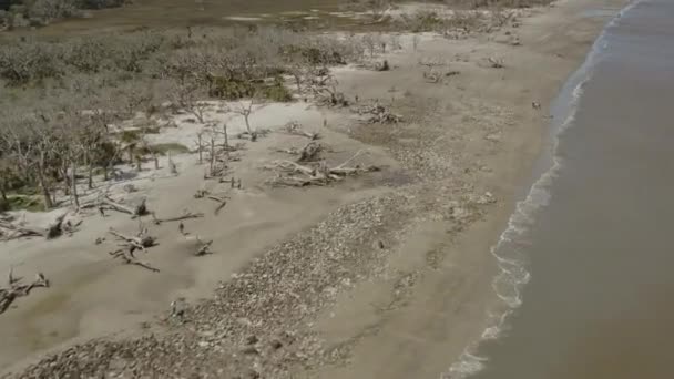 Jekyll Island Georgia Vogelauge Aus Der Luft Auf Menschen Driftwood — Stockvideo