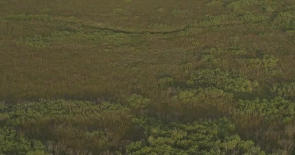 Everglades Florida Aerial Tilt Birdseye Shot Everglades National Park Interstate — Αρχείο Βίντεο