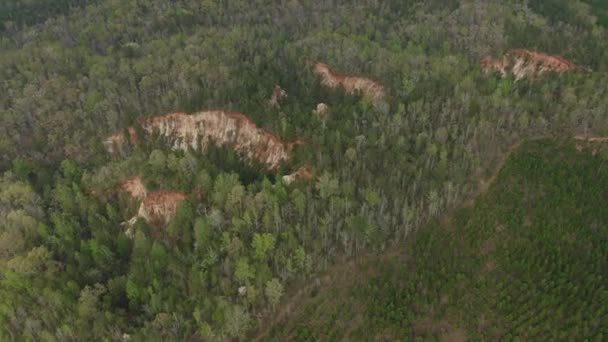 Providence Canyon Georgia Aerial Birdseye Rotating Shot Woodland Taken Far — Stock Video