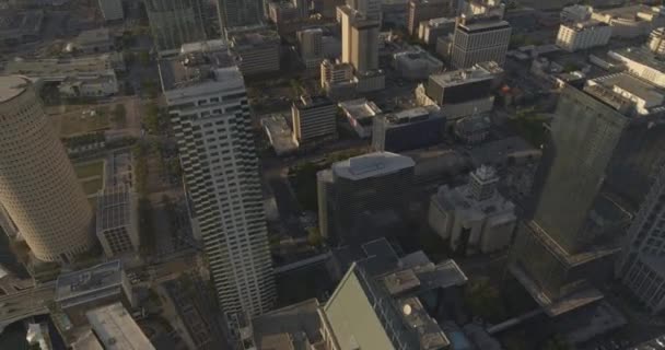 Tampa Florida Aerial V37 Вращающийся Снимок Высотных Офисных Зданий Inspire — стоковое видео