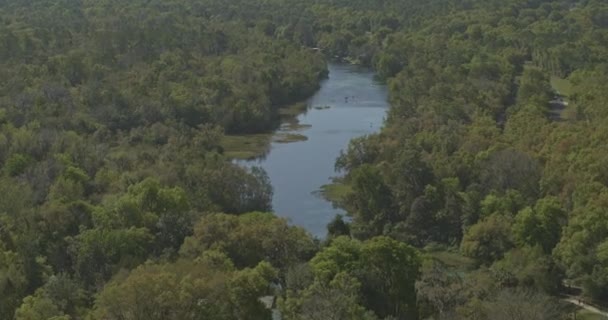 Gökkuşağı Springs Florida Havacılık Nehirdeki Yüzücülerin Üzerine Eğiliyor Dji Inspire — Stok video