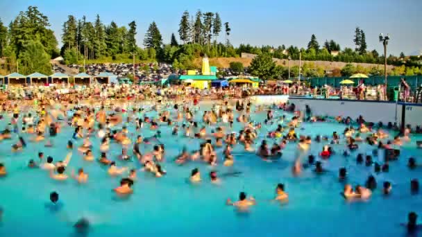 La gente nada en la piscina azul — Vídeo de stock