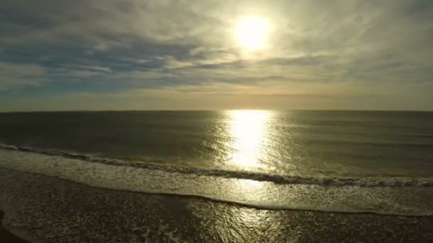 LA aérea sobre la playa de Santa Mónica — Vídeo de stock