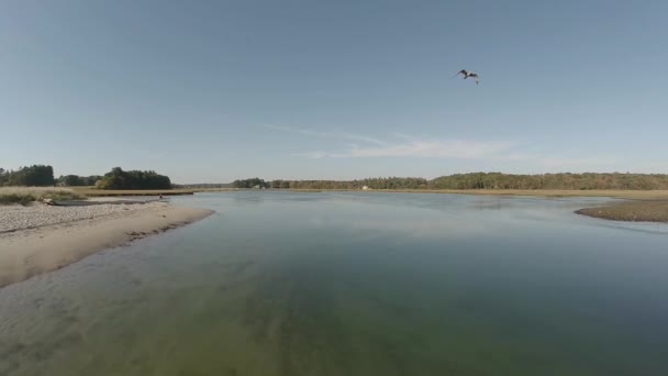 Antenn över flodmynningar och stranden i Maine. — Stockvideo