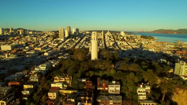 Telegraph Hill üzerinde uçan düşük — Stok video