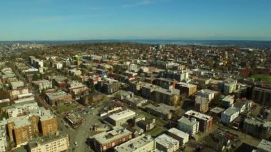 Seattle anteni