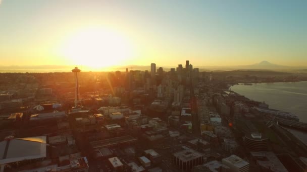 Antenna di Seattle — Video Stock