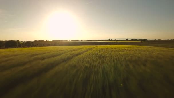 Franciaország a vidékre légi felvétel — Stock videók