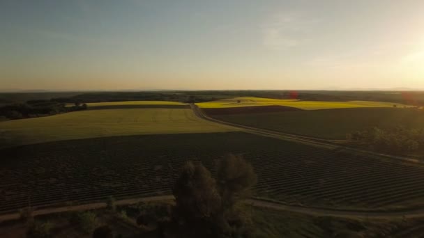 France Countryside Aerial view — Stock Video