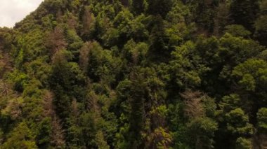 Smoky Dağları üzerinde havadan görünümü
