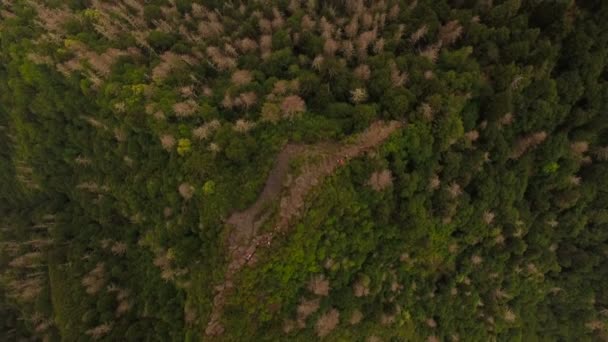 Vista aérea de las montañas ahumadas — Vídeos de Stock