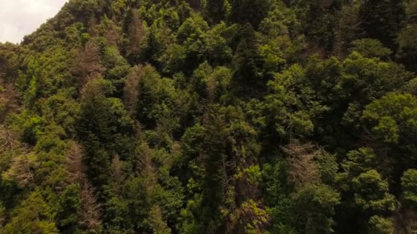 Vista aérea de las montañas ahumadas — Vídeo de stock