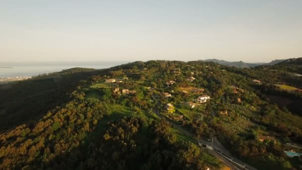 Flygfoto på Tanneron — Stockvideo