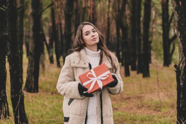 Uzun kıvırcık saçlı, Noel hediyesi tutan ve çam ormanında gülümseyen güzel bir kadın modeli.