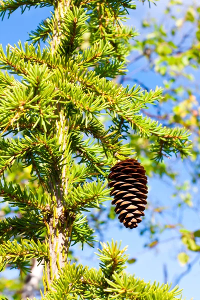 sonbahar doğa Kuzey boyalar