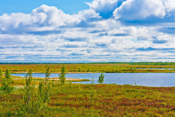 Paints of autumn nature north
