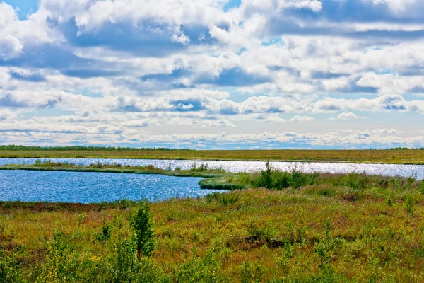 sonbahar doğa Kuzey boyalar