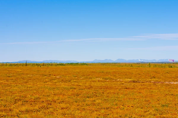 sonbahar doğa Kuzey boyalar