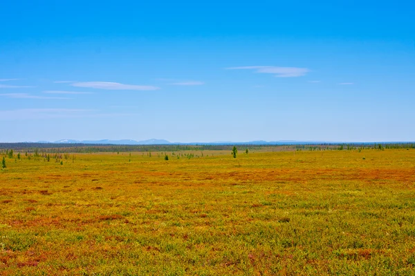 sonbahar doğa Kuzey boyalar