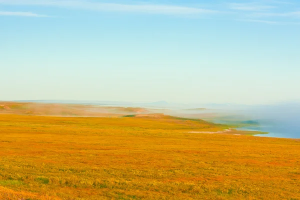 Verven van de herfst natuur noorden — Stockfoto