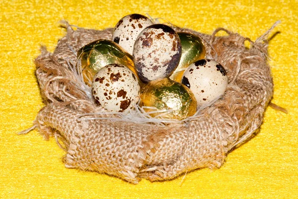 bıldırcın yumurtası