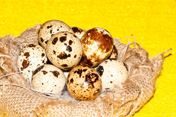 bıldırcın yumurtası