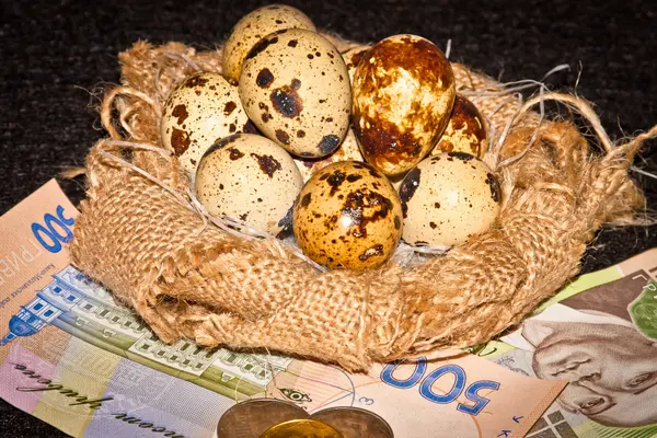 Bıldırcın yumurtası banknotların arka plan üzerinde