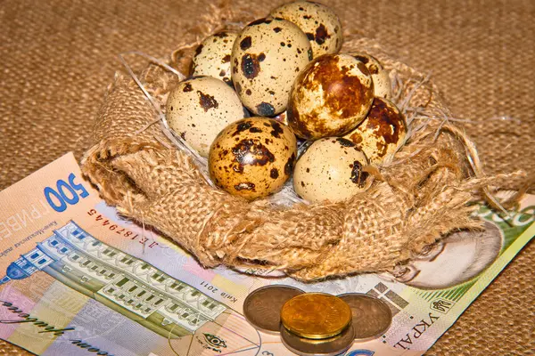 Bıldırcın yumurtası banknotların arka plan üzerinde