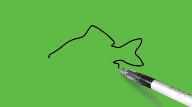 Soyut yeşil arkaplanda siyah, gri, pembe ve kahverengi renkli bir balık çizmek