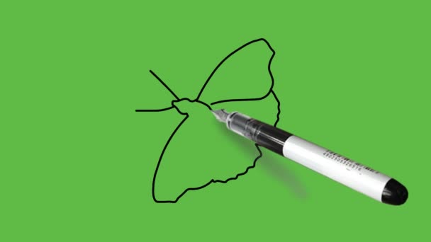 Dibujo Una Mariposa Combinación Colores Negro Azul Sobre Fondo Verde — Vídeos de Stock