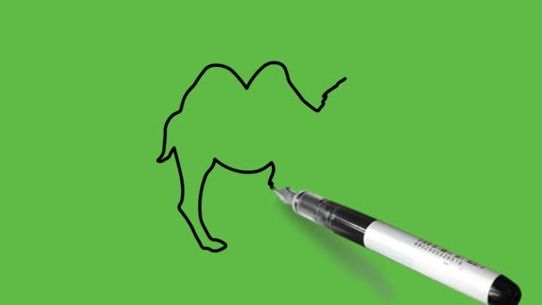 Dibujo Camello Combinación Colores Negro Marrón Rosa Sobre Fondo Verde — Vídeo de stock