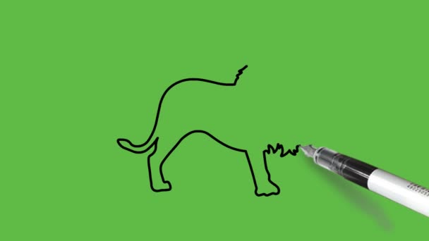 Dessiner Lion Noir Brun Rose Gris Sur Fond Vert Abstrait — Video