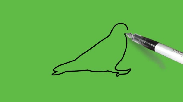 在抽象的绿色背景上画一只黑白结合的鸽子 — 图库视频影像