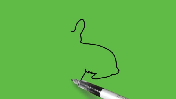 Dessiner Lapin Combinaison Couleurs Noir Bleu Sur Fond Vert Abstrait — Video