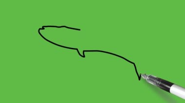 Soyut yeşil arka planda siyah-mavi renkli bir balina çizmek