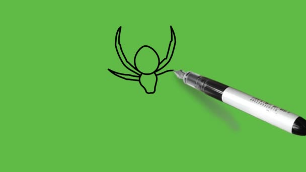 Desenho Uma Aranha Preto Marrom Rosa Combinação Cores Fundo Verde — Vídeo de Stock