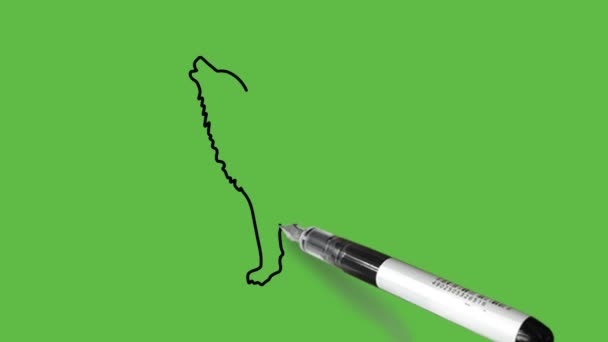 Малювання Вовка Поєднанні Чорно Сірого Кольору Абстрактному Зеленому Тлі — стокове відео