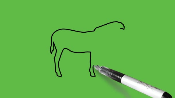 Desenho Uma Zebra Combinação Cores Preto Azul Sobre Fundo Verde — Vídeo de Stock
